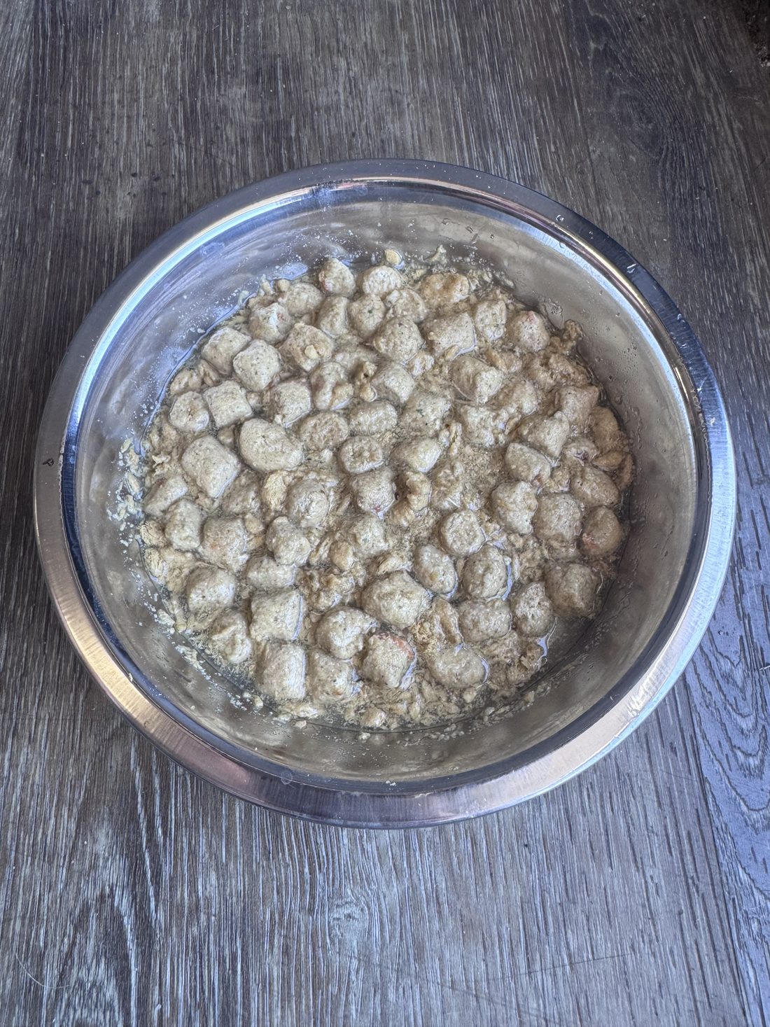 Freeze-dried raw dog food being rehydrated with warm water